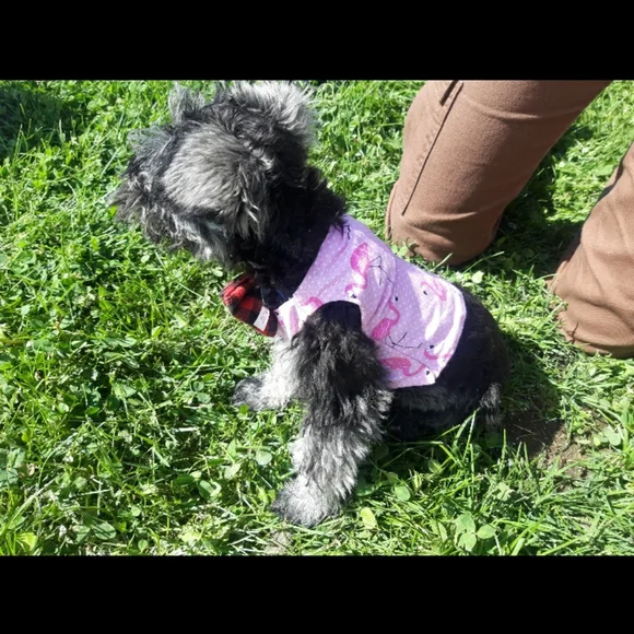 Cool little customized DoggyT-Shirts - Picture 3 of 15